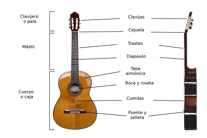 mandolina y mas