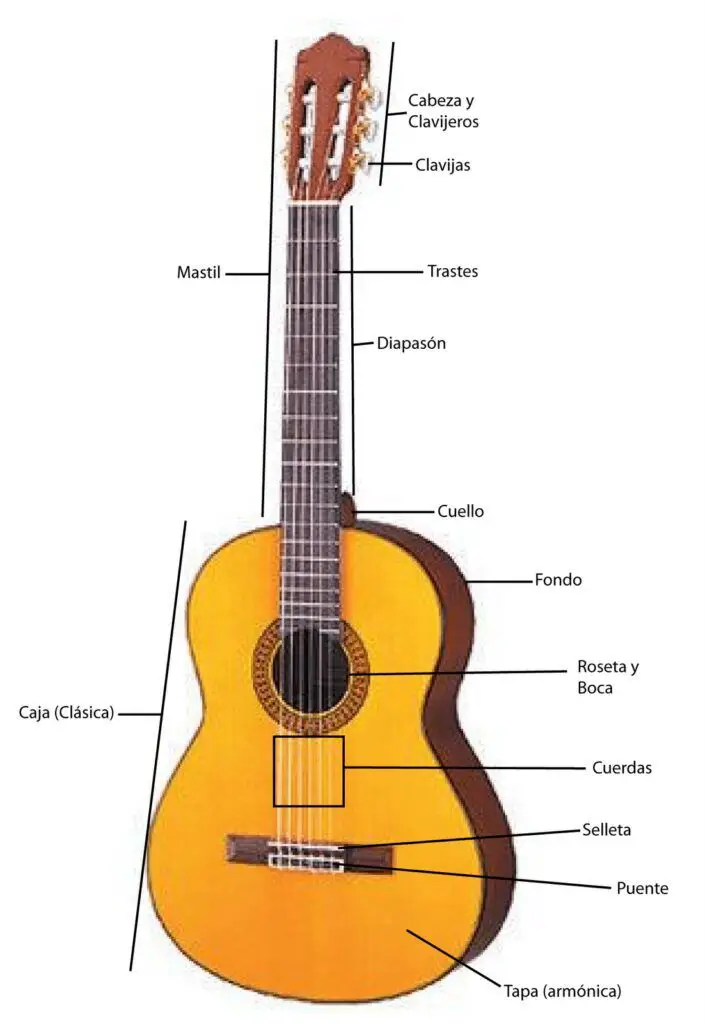 Guitarra Acústica-9