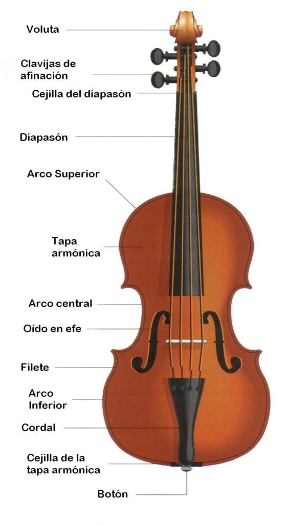 VIOLONCHELO ¿Qué es?, origen, historia y mucho mas