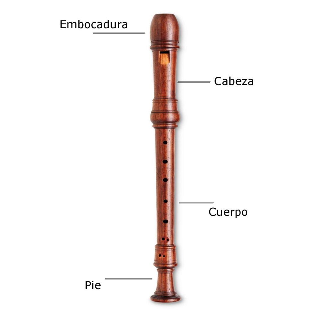 Flauta Dulce Origen Historia Partes Y Mucho Más